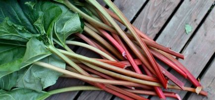 Rebarbara jam előnyei és hátrányai, receptek (rebarbara dzsem előnyei és hátrányai) Rebarbara jam előnyei és hátrányai, receptek