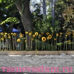 Вазони на весіллі фотоогляд ідей з вазонами, ❤️❥ все для весілля