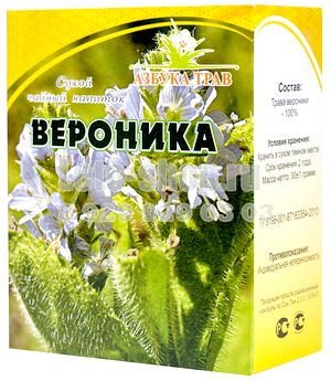 Veronica officinalis - proprietăți medicinale ale plantei
