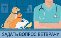 Ветеринарна кардіологія хвороби серця собак і кішок