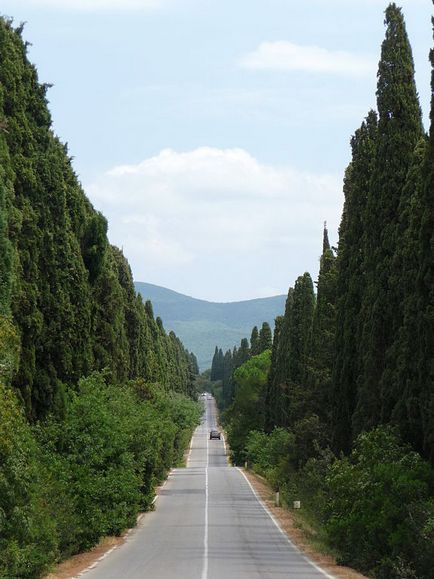 Vin Toscana - o plimbare prin galerii, un blog de călătorie