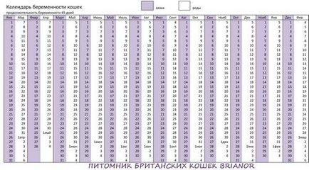 Calculați data nașterii unei pisici