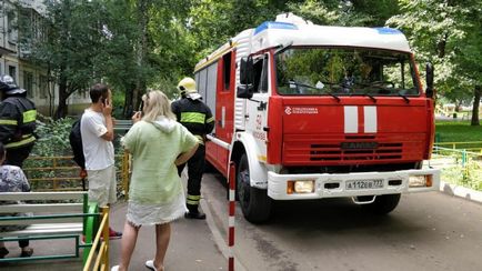 У Москві рятувальники дістали кошеня з каналізаційної труби