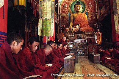 Restaurarea vederii, secretele metodei tibetane, școala de yoga siberiana - lotus de zăpadă