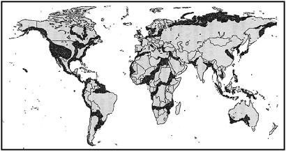 World Flood 2012 - hărți ale inundațiilor lumii, o privire dincolo de față