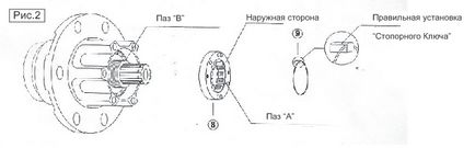 хаби avm