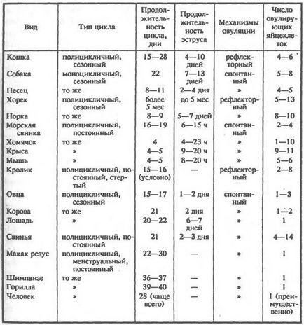 Характеристика жіночих статевих циклів і їх гормональної регуляції