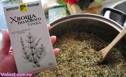 Хвощ для волосся 7 домашніх рецептів та відгуки