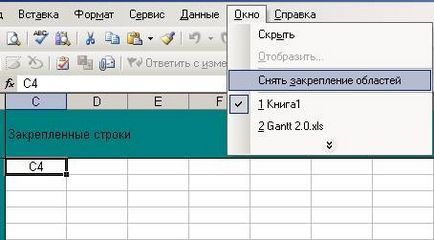 Blocarea și blocarea rândurilor și coloanelor în Excel 2003, departamentul IT