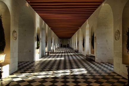 Châteaux a Loire (Franciaország) - egy fotó-felülvizsgálat (Loire) Châteaux a Loire (France) - egy fotó felülvizsgálat