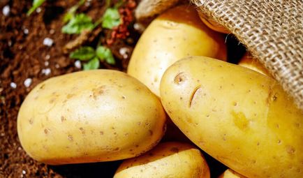 Запаси продуктів для виживання картопля