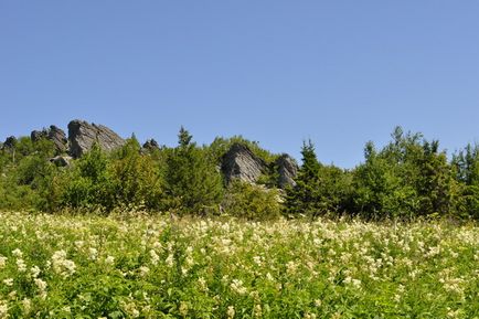 Rezervația Basseghi