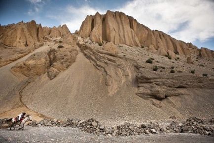 Заборонене королівство мустанг