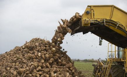 Наречений вигнав Ольга Бузова через її світських вечірок