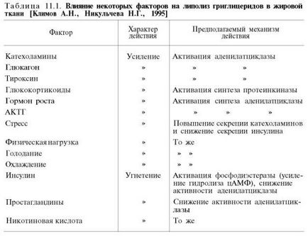 Жирова тканина і її участь в обміні ліпідів