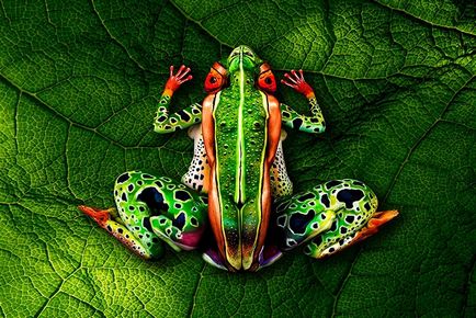 30 Exemple minunate de pictură corporală realizată sub formă de animale, umkra