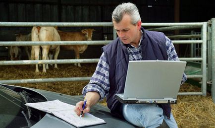 Plan de afaceri pentru deschiderea unei ferme de lapte pentru 10, 20, 50 și 100 capete bovine, echipamente, calcul