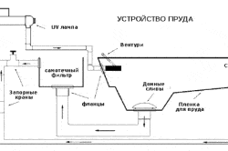 Soluții de design pentru curți Dacha (fotografie)