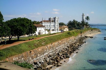 Halle (galle)