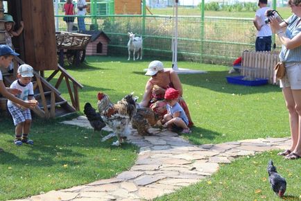 Heliopark Zoo în Highlanders