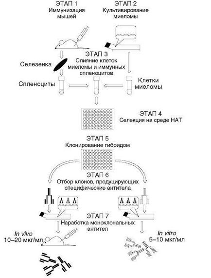 Capitolul 5 tehnologia hibridă