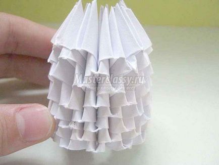 Ciuperca de hârtie
