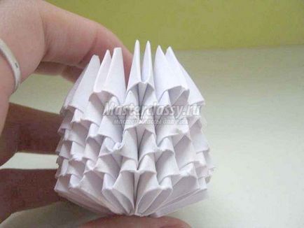 Ciuperca de hârtie