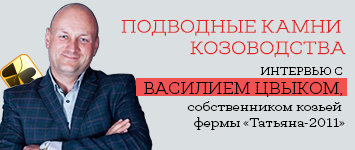 Інтерв'ю з Андрієм Сьоміним, менеджером категорії «комфорт тварин, обладнання для ферм» компанії