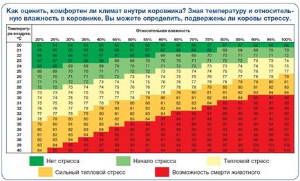 Інтерв'ю з Андрієм Сьоміним, менеджером категорії «комфорт тварин, обладнання для ферм» компанії