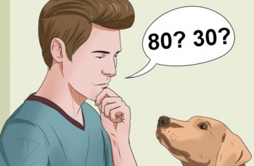 Cum se determină vârsta metodei de bază a câinelui și recomandările cu ajutorul videoclipului