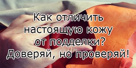 Як відрізнити справжню шкіру від підробки довіряй, але перевіряй! Копилочка корисних порад