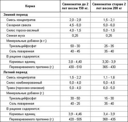 Як зробити розведення свиней вигідним