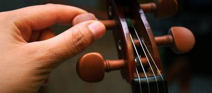 Як вибрати скрипку - яка скрипка краще підійде починаючому