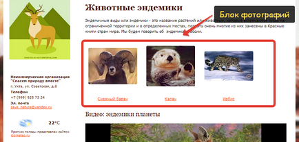 Cum să inserați imagini și imagini pe site în trei moduri de a lucra cu imagini în Nubex