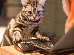 Hogyan keresni a humán, az internet egy tudásbázis (keresni) Hogyan keresni a humán, az internet egy tudásbázis