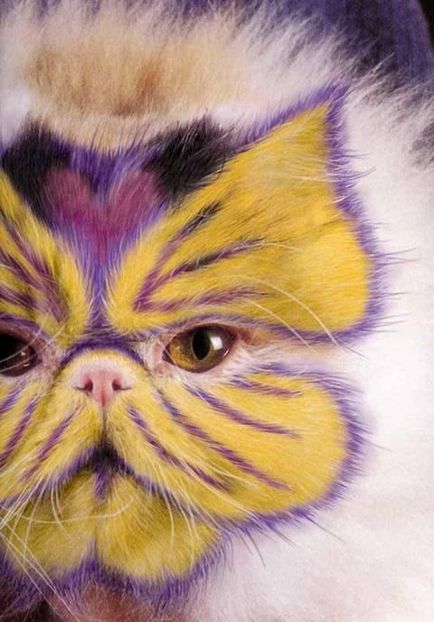 Котячий боді-арт - ярмарок майстрів - ручна робота, handmade