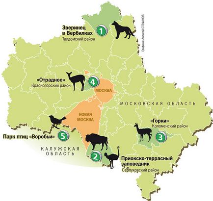 Unde să mergeți cu copilul pentru mini-grădinițele zoologice din weekend și să contactați grădinile zoologice din Moscova și din