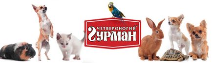 Купити корм чотириногий гурман для собак в консервах 🐕 за недорогою ціною чотириногий гурман