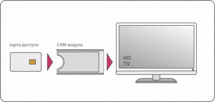 Hiba: 5 Tricolor TV okai és jogorvoslatok