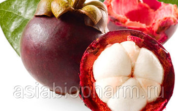 Alapadatok, gyógyhatású tulajdonságai mangosteen használatát a kozmetikában, a népi és (irritáció) Alapadatok, gyógyszer tulajdonságait, a használata a mangosztán a kozmetikumok, a hagyományos és