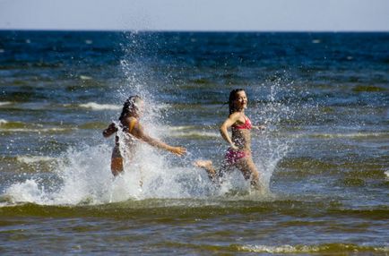 Insula Saaremaa