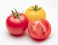 Помідори (томати) - агротехніка і кращі сорти