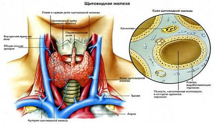 Condiții precanceroase