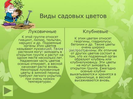 Проект для 3-4 класу з презентацією на тему квіти