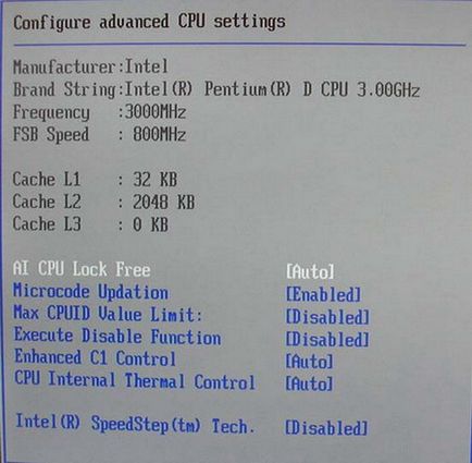 Procesoare Intel Pentium d 9x0 (presler) în funcțiune, documentație computerizată de la a la i