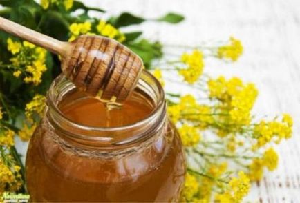 Ріпаковий мед користь і шкода, особливо в застосуванні