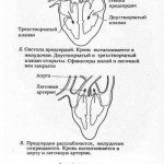 Holt-szindróma - Oram