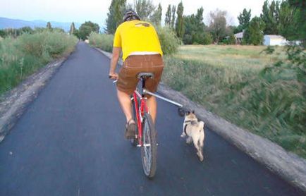 Собачий поводок для велосипедних прогулянок