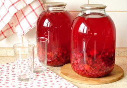 Juice ribizli téli receptek (ribizli télen) Juice ribizli téli receptek