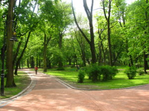 Parc de vis cu copaci de toamnă frumos într-un vis pentru a vedea ce visează